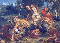 Lions Hunting