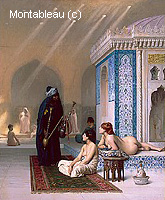Pool in a Harem