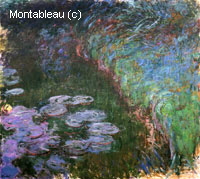 Water-Lilies