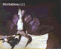 Still Life with Heron