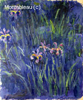 Irises