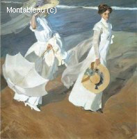 Promenade le long de la plage
