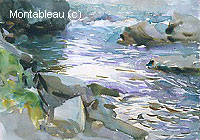 Stream and Rocks