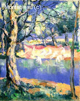 A River in the Forest