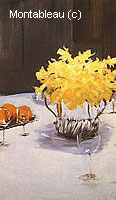 Still Life with Daffodils