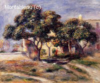 Medlar Trees, Cagnes