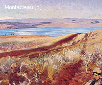 The Dead Sea