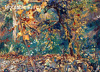 Valdemosa, Pomegranate Trees
