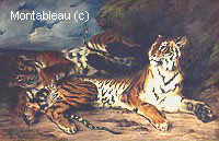 Study of Two Tigers, known as Young Tiger Playing with his Mother