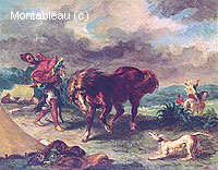 The Morrocan and his Horse