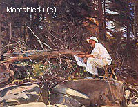 The Artist Sketching