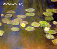 Water-Lilies