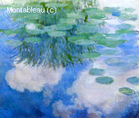 Water-Lilies