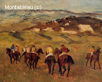 Race Horses