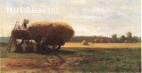The Harvest