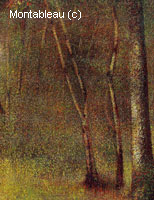 In the Woods at Pontaubert