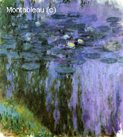 Water-Lilies