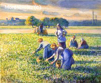 Picking Peas