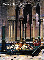 The Grief of the Pasha