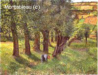 Le Chou à Pontoise (La Moussière)