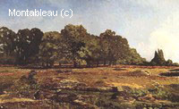 Avenue of Chestnut Trees near La Celle-Saint-Cloud