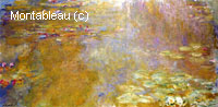The Water-Lily Pond