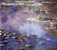 Water-Lilies
