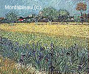 Vue d'Arles et Iris