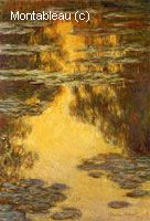 Water-Lilies