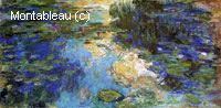 The Water-Lily Pond