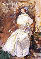 The Cashmere Shawl