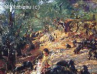 Ilex Wood at Majorca with Blue Pigs