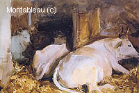 Three Oxen