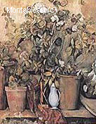 Potted Plants