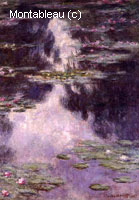 Water-Lilies