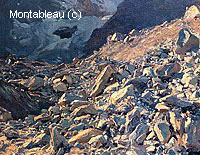 Moraine
