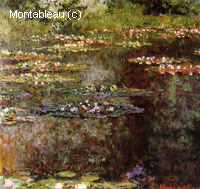 Water-Lilies