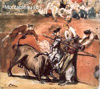 Bullfight
