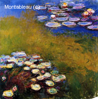 Water-Lilies
