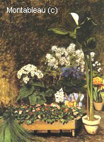 Spring Flowers