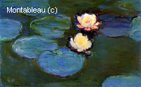 Water-Lilies