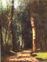 In the Woods