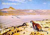 Tiger on the Watch