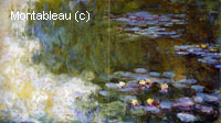 The Water-Lily Pond