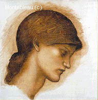 Study for The Head of Fortune