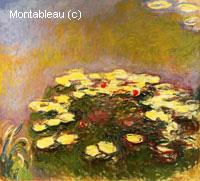 Water-Lilies