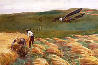 Crashed Aeroplane