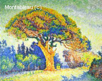 The Pine, St. Tropez
