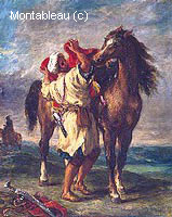Arabe Sellant son Cheval
