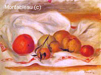 Still Life